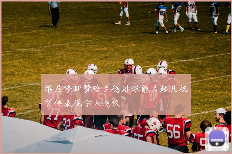 维尼修斯赞哈兰德进球能力超凡祝贺他表现令人惊叹