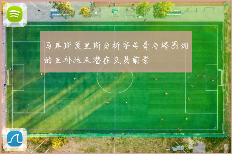 马库斯莫里斯分析字母哥与塔图姆的互补性及潜在交易前景